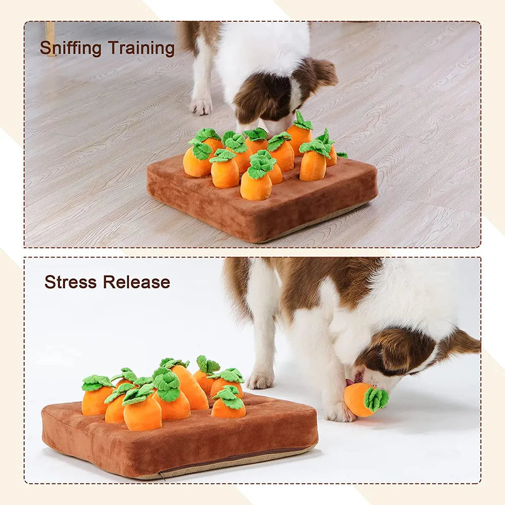 Carrot Plush Poodle Toy