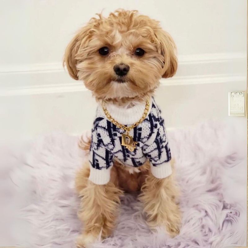 Dogior Poodle Sweater