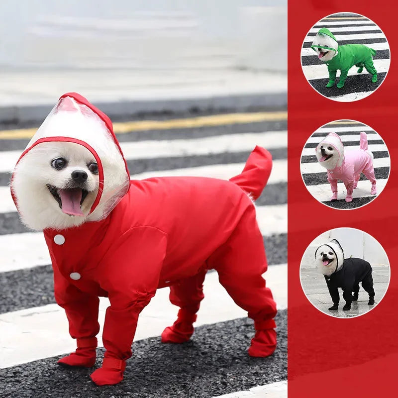 Poodle Raincoat