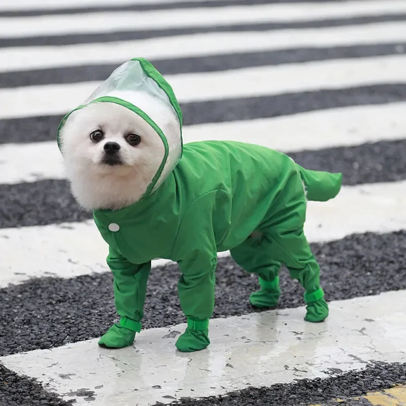 Poodle Raincoat