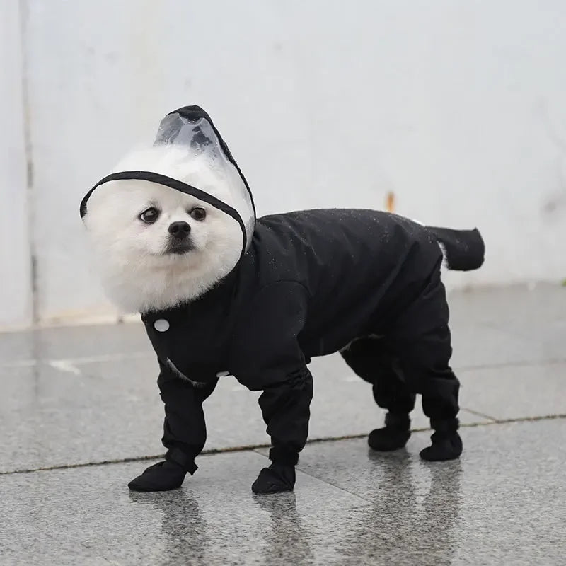 Poodle Raincoat