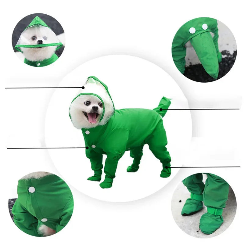 Poodle Raincoat