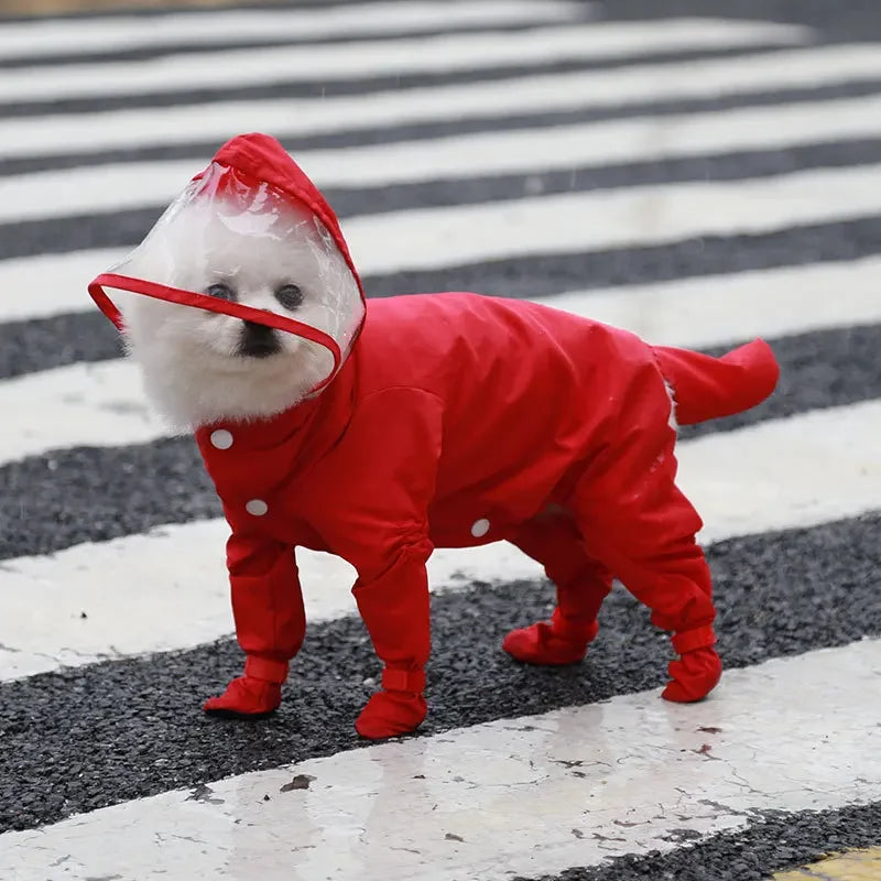 Poodle Raincoat