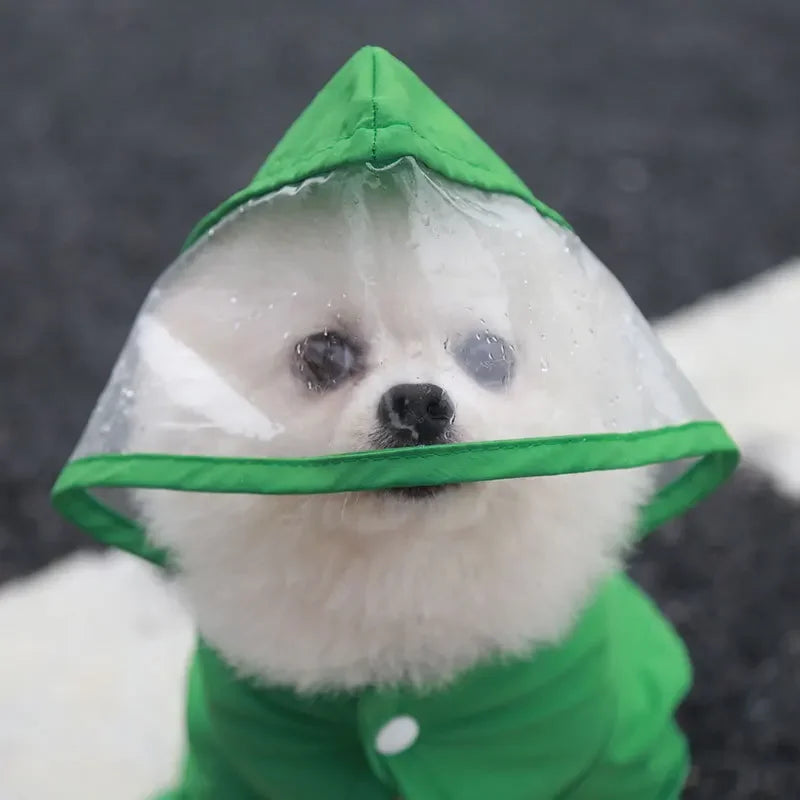 Poodle Raincoat