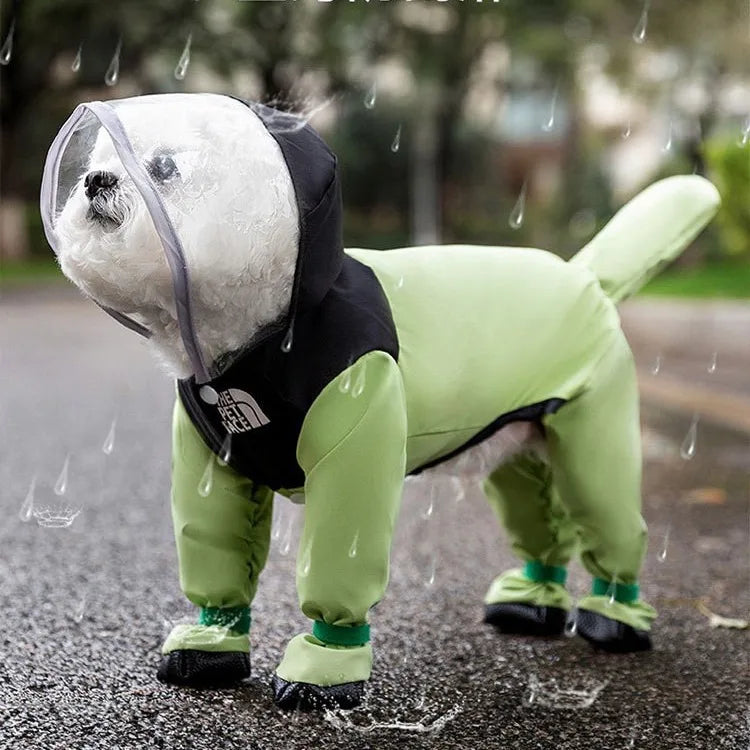 TDF Poodle Raincoat