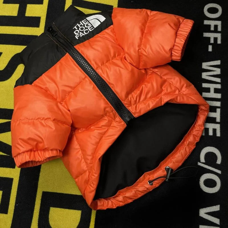 The Dog Face Poodle Jacket