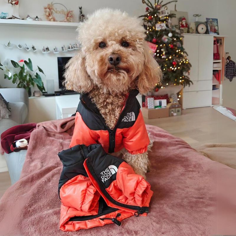 The Dog Face Poodle Jacket