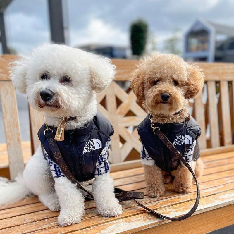 The Dog Face Poodle Vest