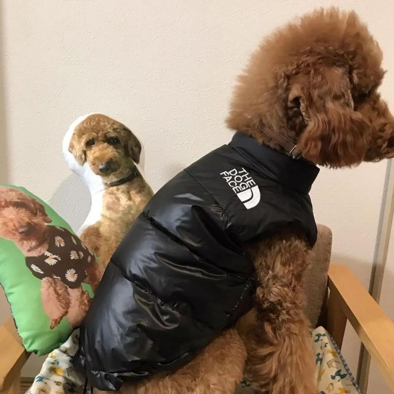 The Dog Face Poodle Vest