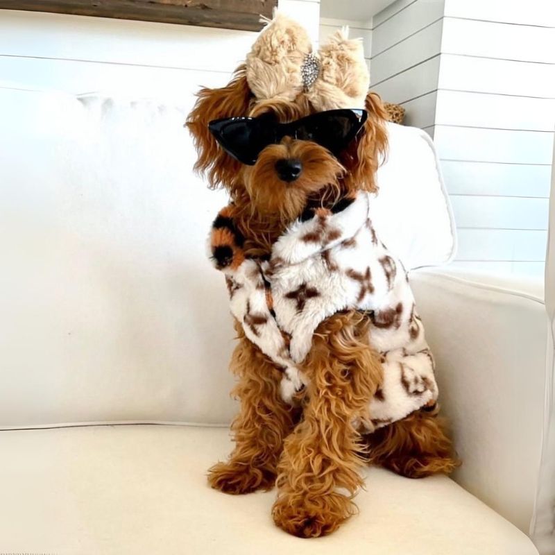 Winter Reversible Poodle Vest
