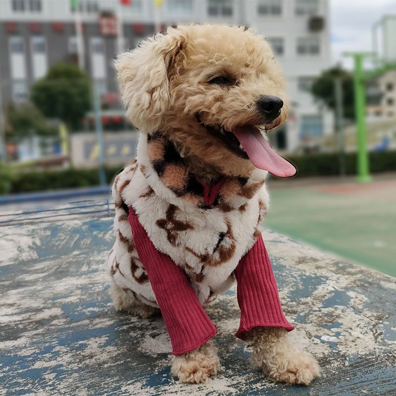 Winter Reversible Poodle Vest