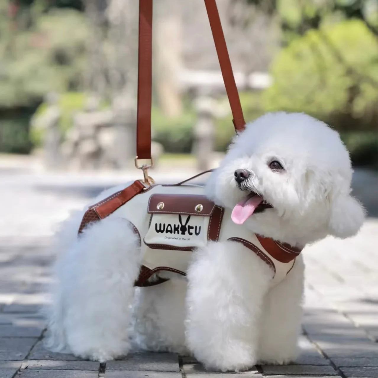 Poodle Shoulder Carrier