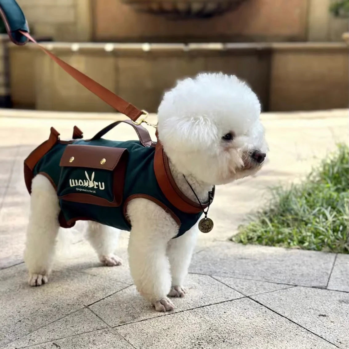 Poodle Shoulder Carrier