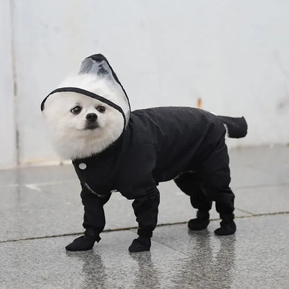Poodle Raincoat