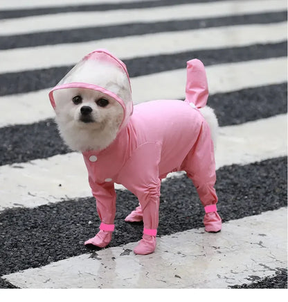 Poodle Raincoat