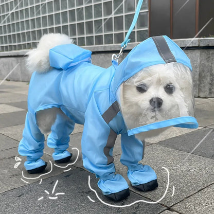 Poodle Raincoat
