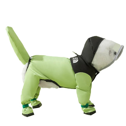 TDF Poodle Raincoat