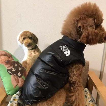 The Dog Face Poodle Vest